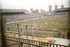 a millwall 1-1 12.3.88.jpg