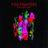 Foo Fighters - Wasting Light.jpg