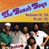 The Beach Boys - Washington DC. 4.7.81.jpg