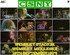 CSNY - Wembley 94.jpg