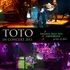 Toto - Live Amsterdam,  June 2011.jpg