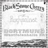 black stone cherry - rockpalast dortmund 29.10.11.jpg