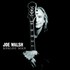 joe walsh - analog man.jpg