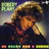 Robert Plant - 29 Palms And 1 Plant 13.12.93.jpg