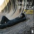 Charles Bradley-No Time for Dreaming.jpg