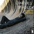 Charles Bradley - No Time for Dreaming.jpg