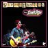 Stereophonics - Pinkpop Festival 2013.jpg