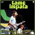 Tame Impala - Glastonbury Festival 2013.jpg