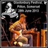 Seasick Steve - Glastonbury 2013.jpg