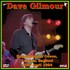 Dave Gilmour - Hammersmith Odeon, London 30.4.84.jpg