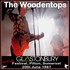 The Woodentops - Glastonbury Festival, England, 20.6.87.jpg