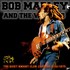 Bob Marley & The Wailers - Chicago 10.7.75.jpg