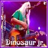 Dinosaur Jr - Hollywood Palladium, Los Angeles, CA 14.6.91.jpg