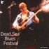 Mick Taylor- Dead Sea Blues Festival Israel 12.4.90.jpg