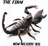 The Firm - Albuquerque NM 85.jpg