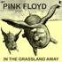 Pink Floyd - In the Grassland Away - MSG New York 2.7.77.jpg